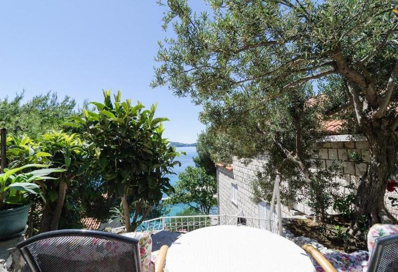 اتاق استاندارد با تراس و چشم‌انداز دریا, Guest House Daniela