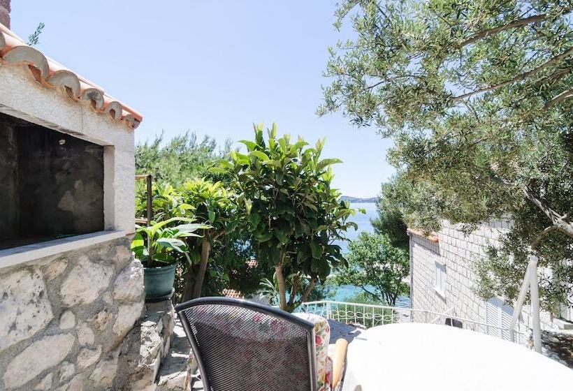 اتاق استاندارد با تراس و چشم‌انداز دریا, Guest House Daniela