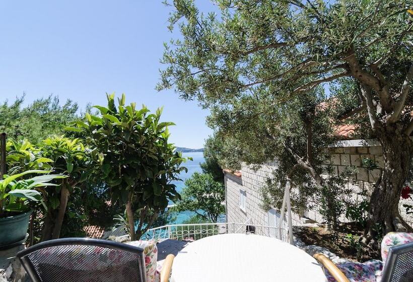 اتاق استاندارد با تراس و چشم‌انداز دریا, Guest House Daniela
