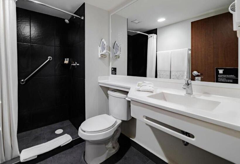 Номер Стандарт, City Express Plus By Marriott Guadalajara Palomar