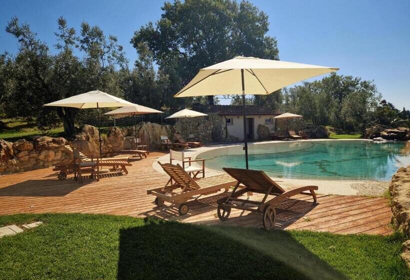 Апартаменты 1 Спальня с Террасой, Agriturismo Ai Massi