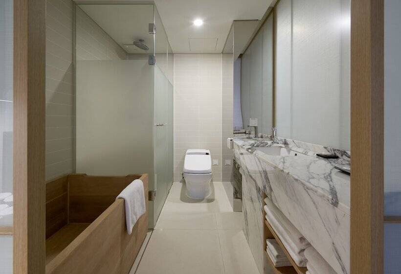 Трехместный Номер Deluxe, Sotetsu Hotels The Splaisir Seoul Myeongdong