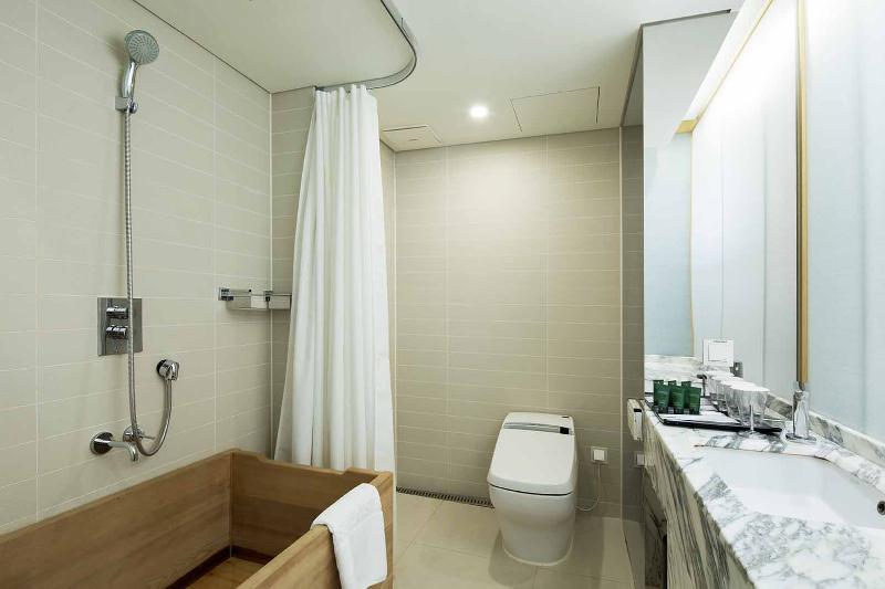 Номер Deluxe, Sotetsu Hotels The Splaisir Seoul Myeongdong