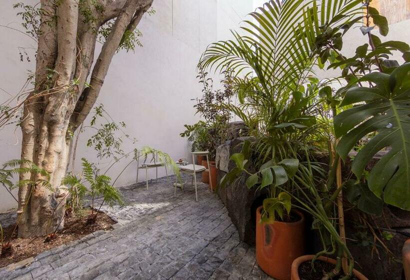 Suite with Terrace, Casa Ofelia