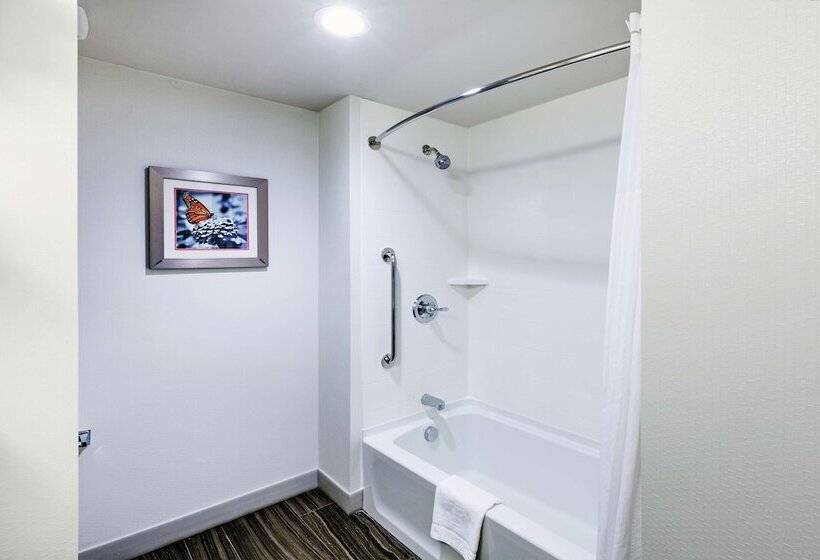 Номер Стандарт Кровать Кинг Адаптированный для Инвалидов, Hampton Inn North Little Rock Mccain Mall