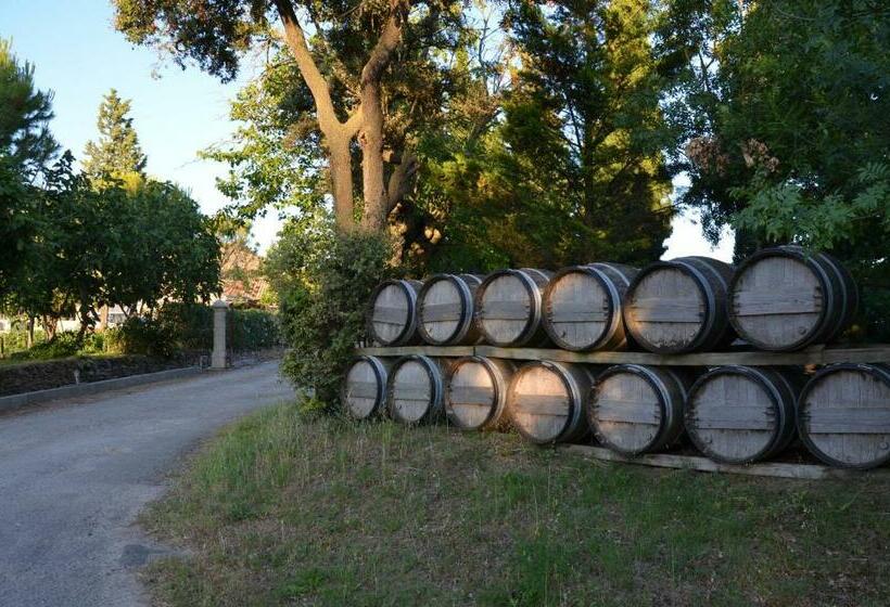 Номер Стандарт, Room In Guest Room   Wellington Guest Room In The Heart Of The Vineyard