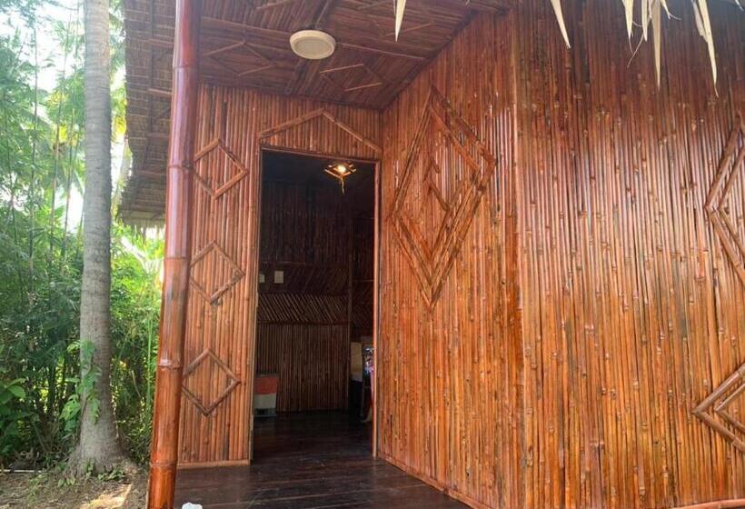 کابین, Bungalow   Homestay Làng Bè