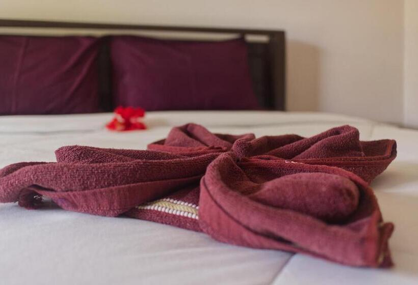 Quarto Estandar, Misa Guest House