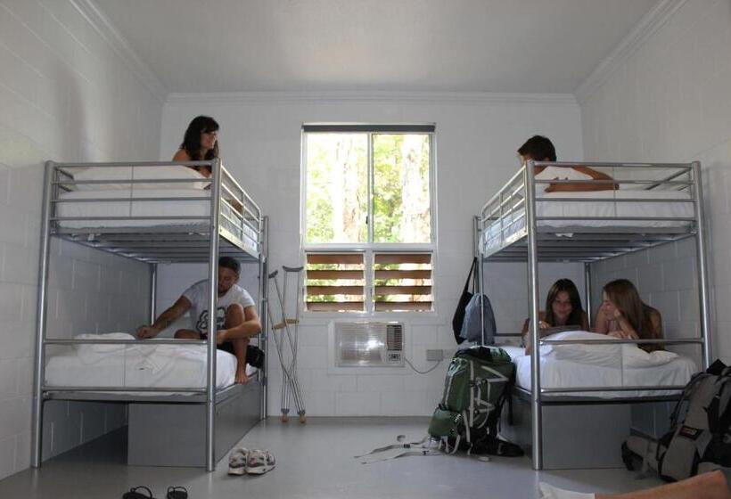 Кровать в Многоместном Номере с Общей Ванной, Port Douglas Backpackers