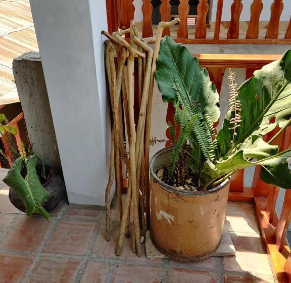 اتاق لوکس سه تخته, Balcon De Gocta
