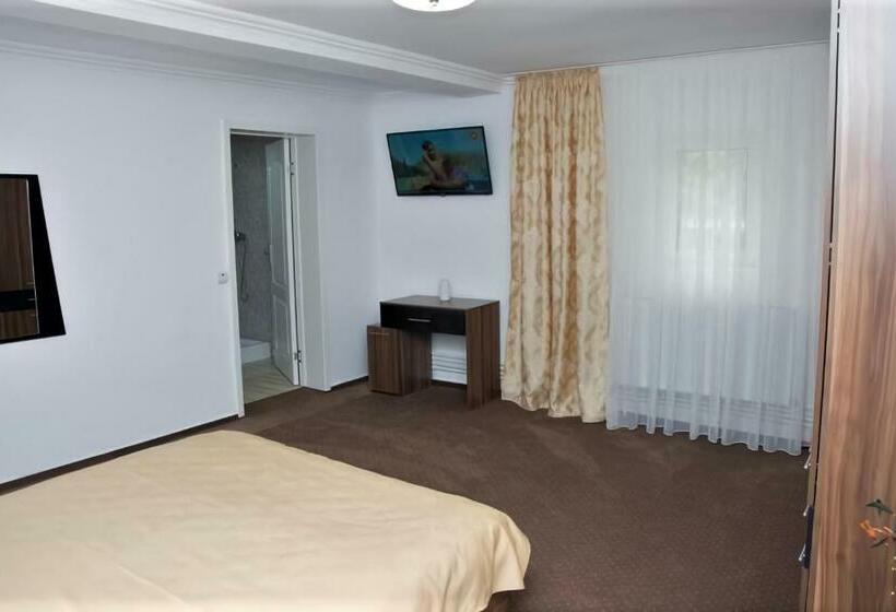 스탠다드 룸 킹사이즈 침대, Motel Potcoava De Aur