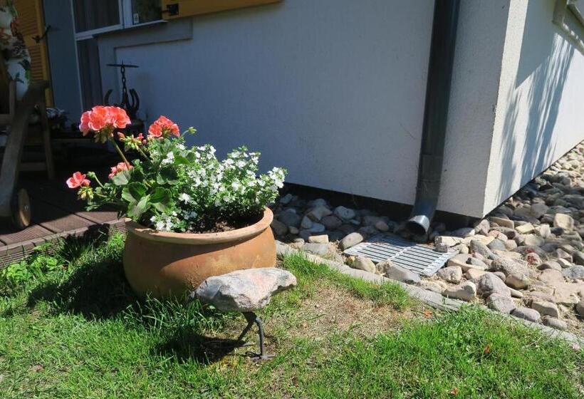 آپارتمان 1 خوابه, Apartmenti Zvejniekciema