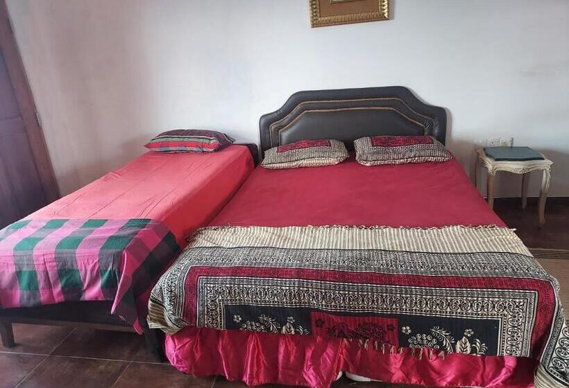Трежместный Номер Economy, Sea Bay Resort