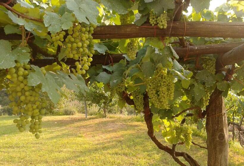 Дом 2 Спальни, Agriturismo Il Giglio E La Rosa