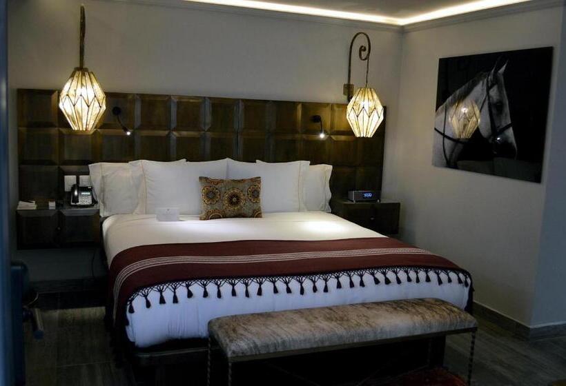 استودیوی استاندارد, Casa 1810 Hotel Boutique