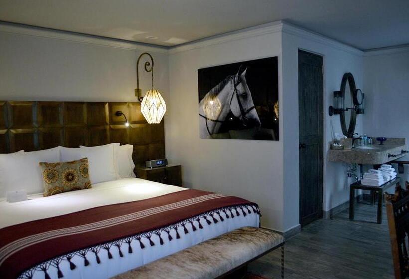 استودیوی استاندارد, Casa 1810 Hotel Boutique