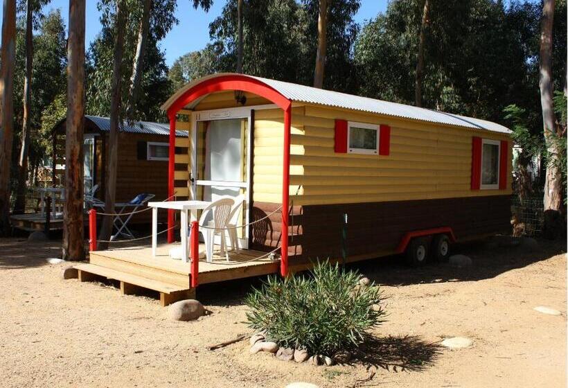 Номер Стандарт, Camping La Pinede
