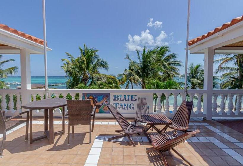 Номер Superior, Blue Tang Inn