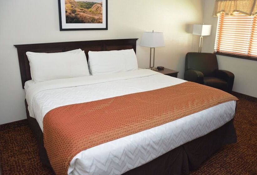 Номер Стандарт, Roosevelt Inn & Suites