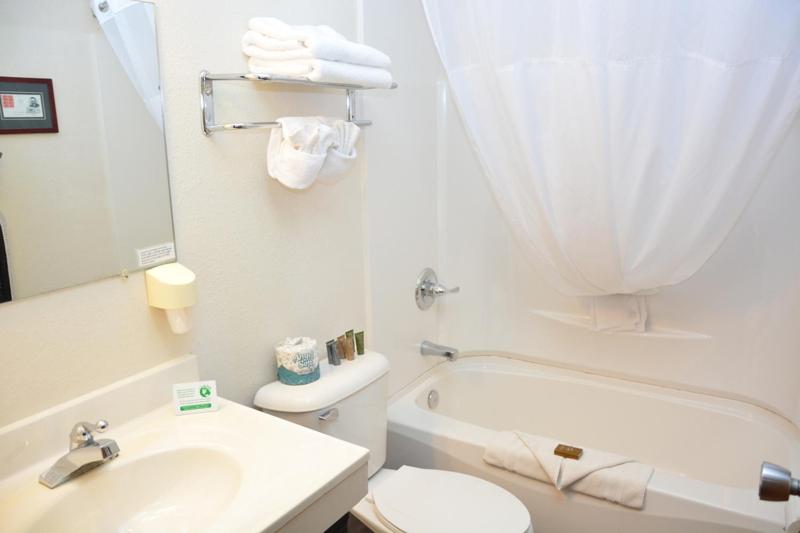 Номер Стандарт Индивидуальный, Roosevelt Inn & Suites