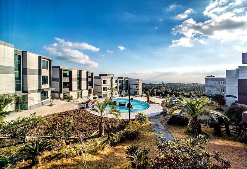 스위트, Donnaekohill Resort