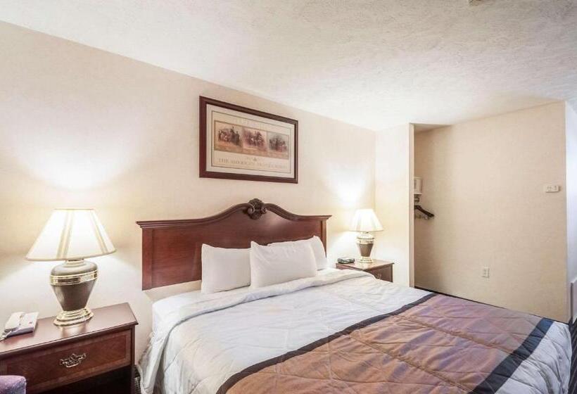 스탠다드 룸 킹사이즈 침대, Rodeway Inn & Suites