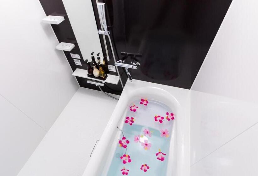 סטודיו אקונומי, Condominium Hotel Monpa