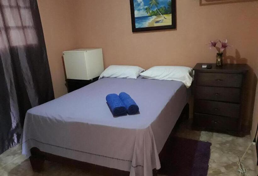 스탠다드 룸, Apartahotel Next Nivel