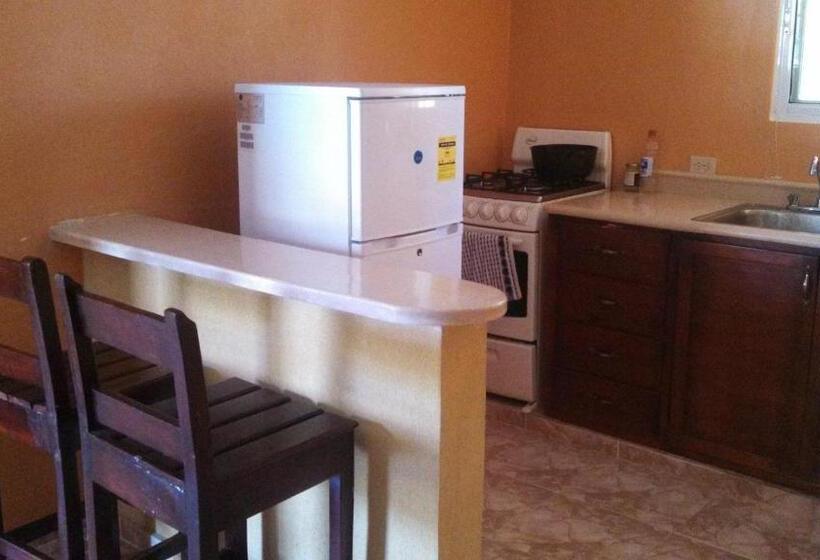 침실 2개 아파트, Apartahotel Next Nivel
