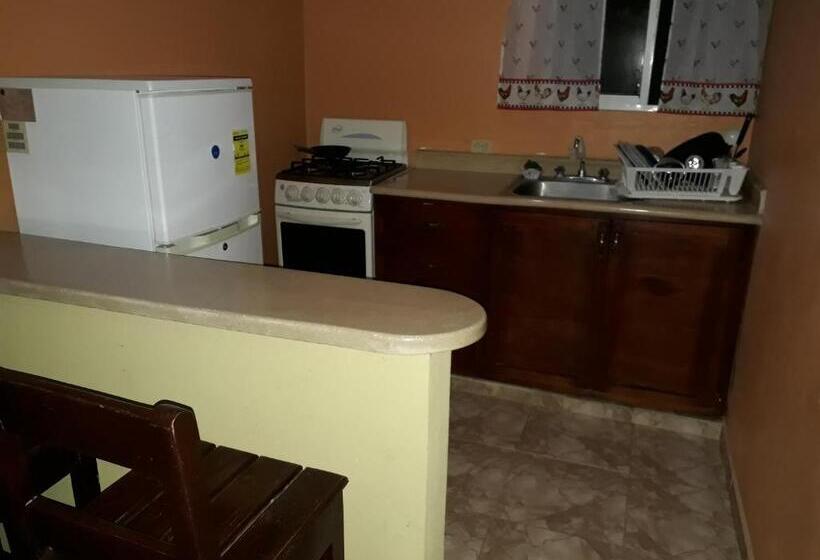 침실 2개 아파트, Apartahotel Next Nivel