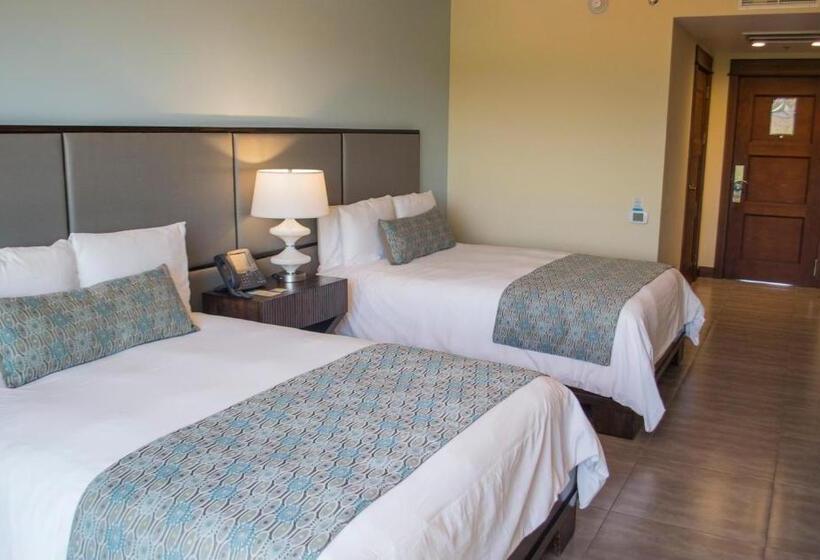 اتاق لوکس, Croc S Resort & Casino