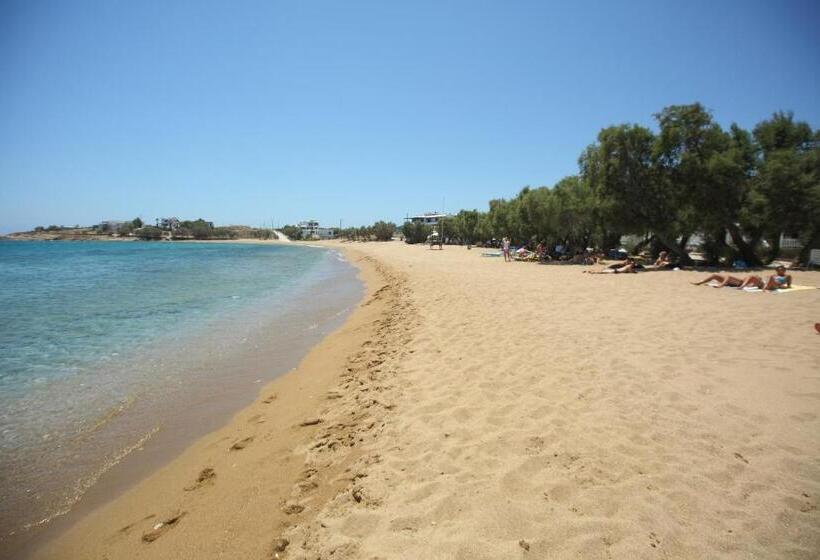 带海景的标准房, Paros Inn