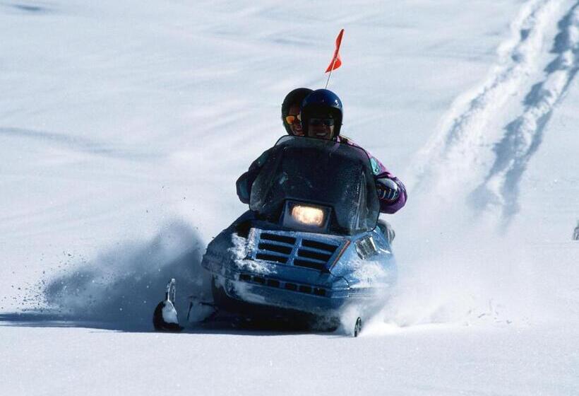 اتاق استاندارد چهار تخته, Resort Inn Niseko