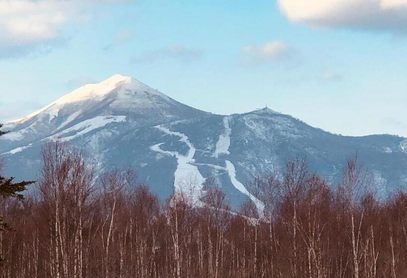اتاق استاندارد یک نفره, Resort Inn Niseko