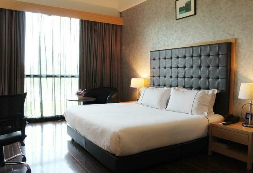 带大床的高级房间, Symphony Suites