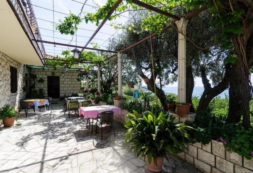 Quarto Basic, Guesthouse Moretić