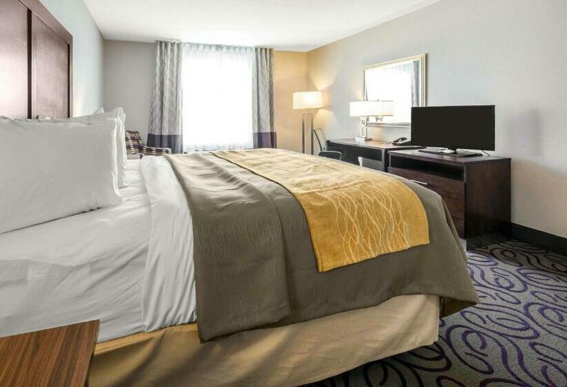 스탠다드 룸 킹사이즈 침대, Comfort Inn & Suites