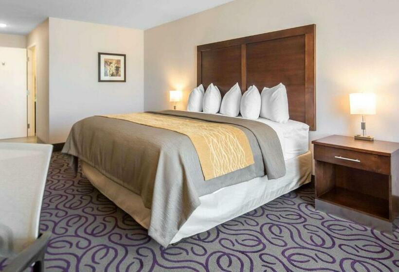 스탠다드 룸 킹사이즈 침대, Comfort Inn & Suites