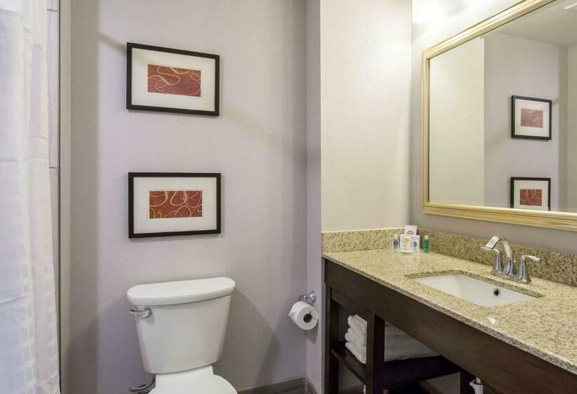 חדר סטנדרט, Comfort Inn & Suites