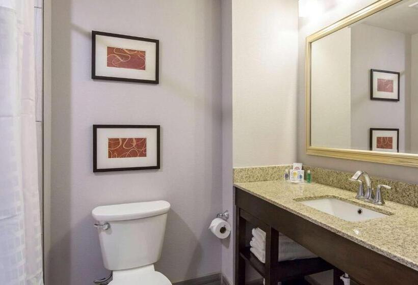 장애인을 위한 스탠다드 룸, Comfort Inn & Suites