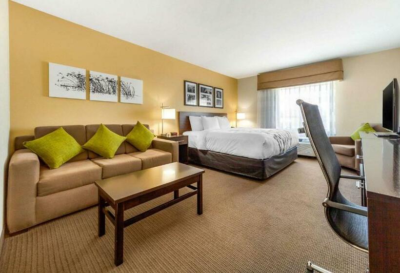 스위트 킹사이즈 침대, Sleep Inn & Suites Lincoln University Area