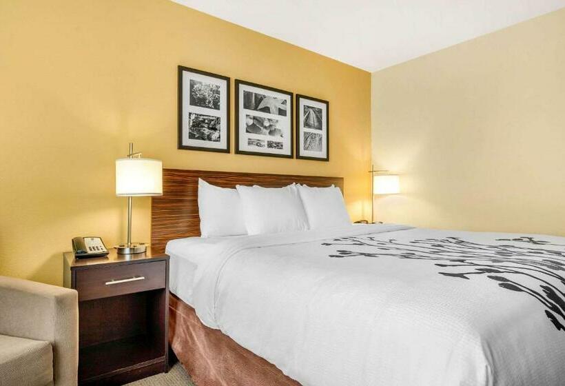 스탠다드 룸 킹사이즈 침대, Sleep Inn & Suites Lincoln University Area
