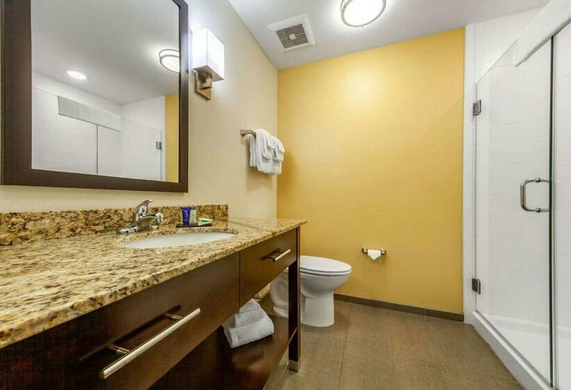 스위트 킹사이즈 침대, Sleep Inn & Suites Lincoln University Area