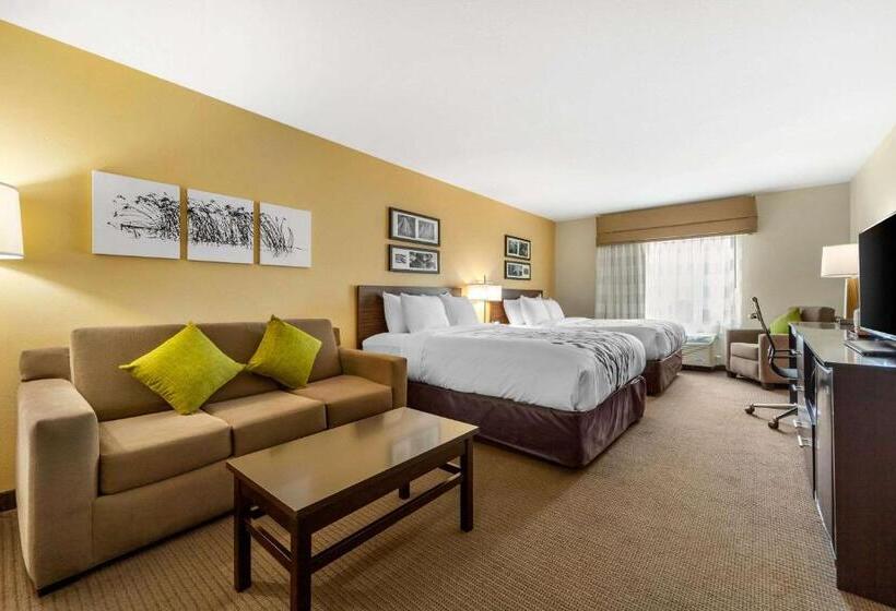 스위트, Sleep Inn & Suites Lincoln University Area