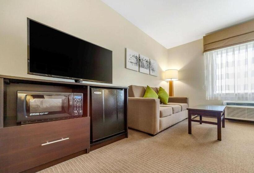장애인을 위한 스위트, Sleep Inn & Suites Lincoln University Area
