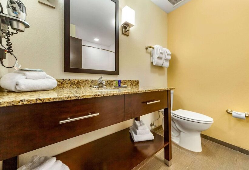 장애인을 위한 스위트, Sleep Inn & Suites Lincoln University Area