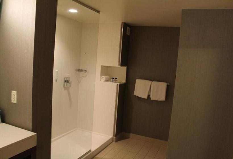 Люкс, Courtyard By Marriott Muncie At Horizon Convention Center