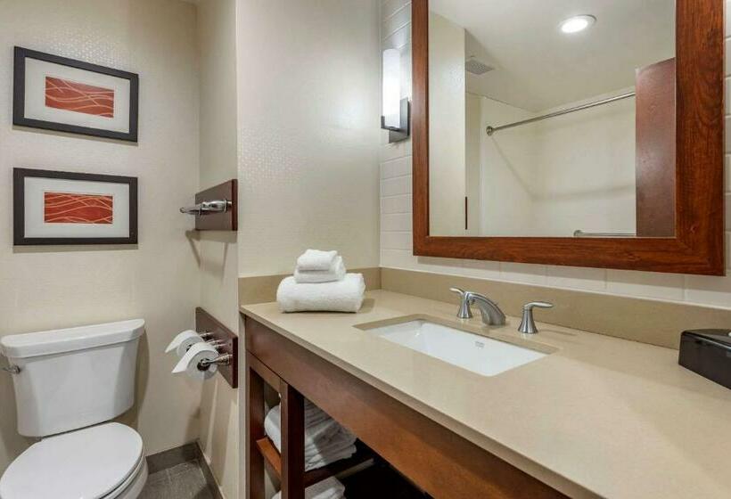 غرفة قياسية, Comfort Inn & Suites Pittsburgh South