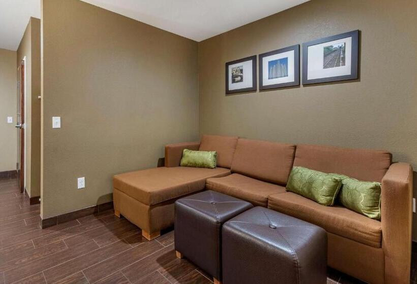 جناح لذوى الاحتياجات الخاصة, Comfort Inn & Suites Pittsburgh South