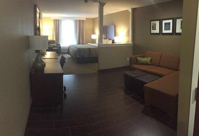 جناح, Comfort Inn & Suites Pittsburgh South